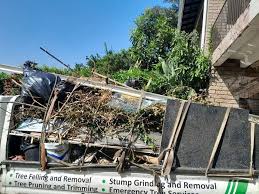 Best Residential Junk Removal  in Douglas, MI