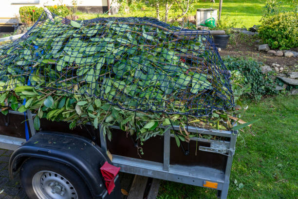 Best Commercial Junk Removal  in Douglas, MI